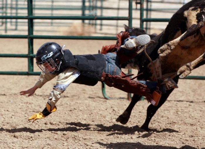 Mini Bull Riding